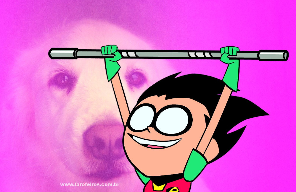 Qual é o melhor Robin - Blog Farofeiros - 02