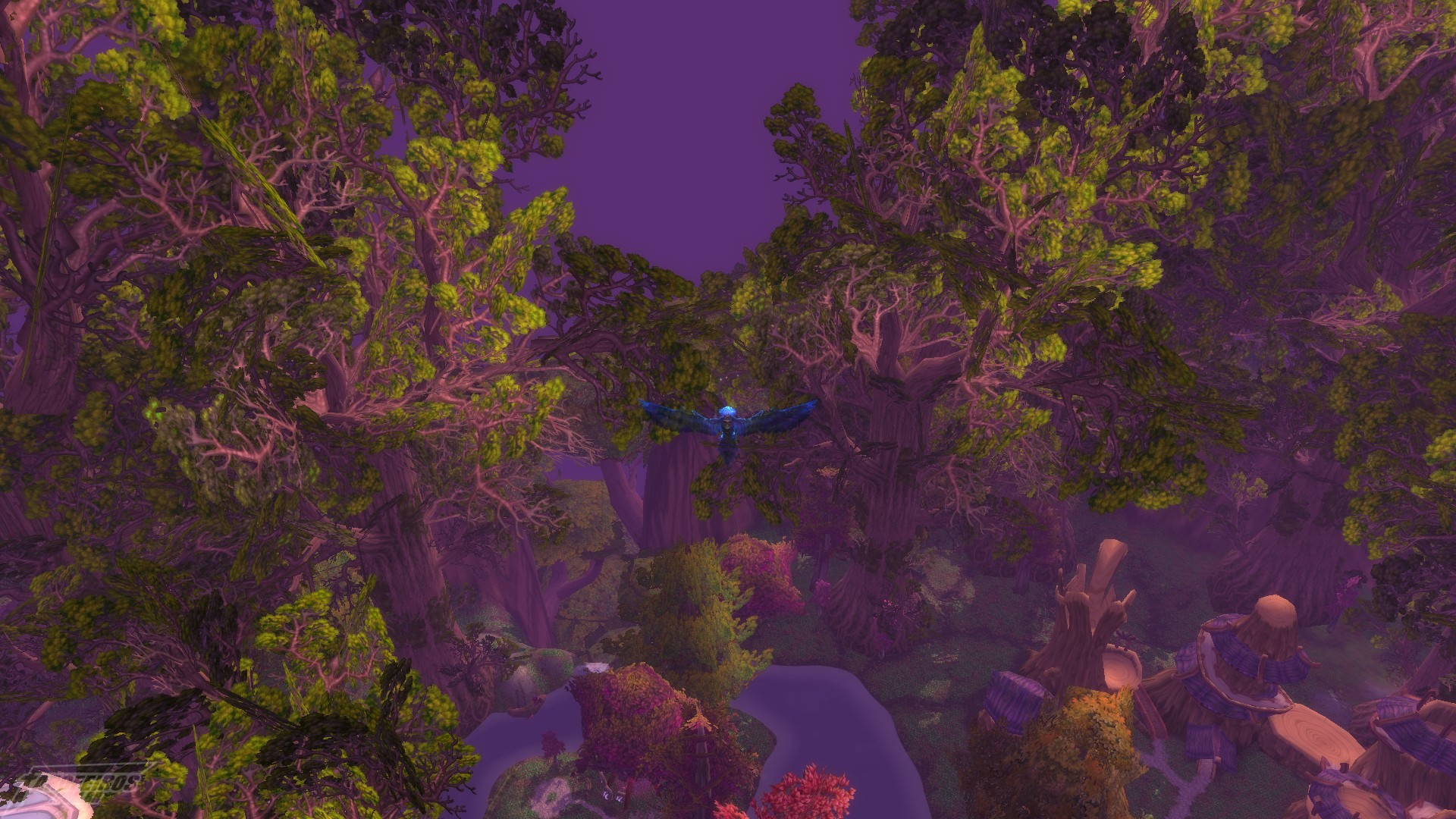 Teldrassil antes de pegar fogo - World of Warcraft