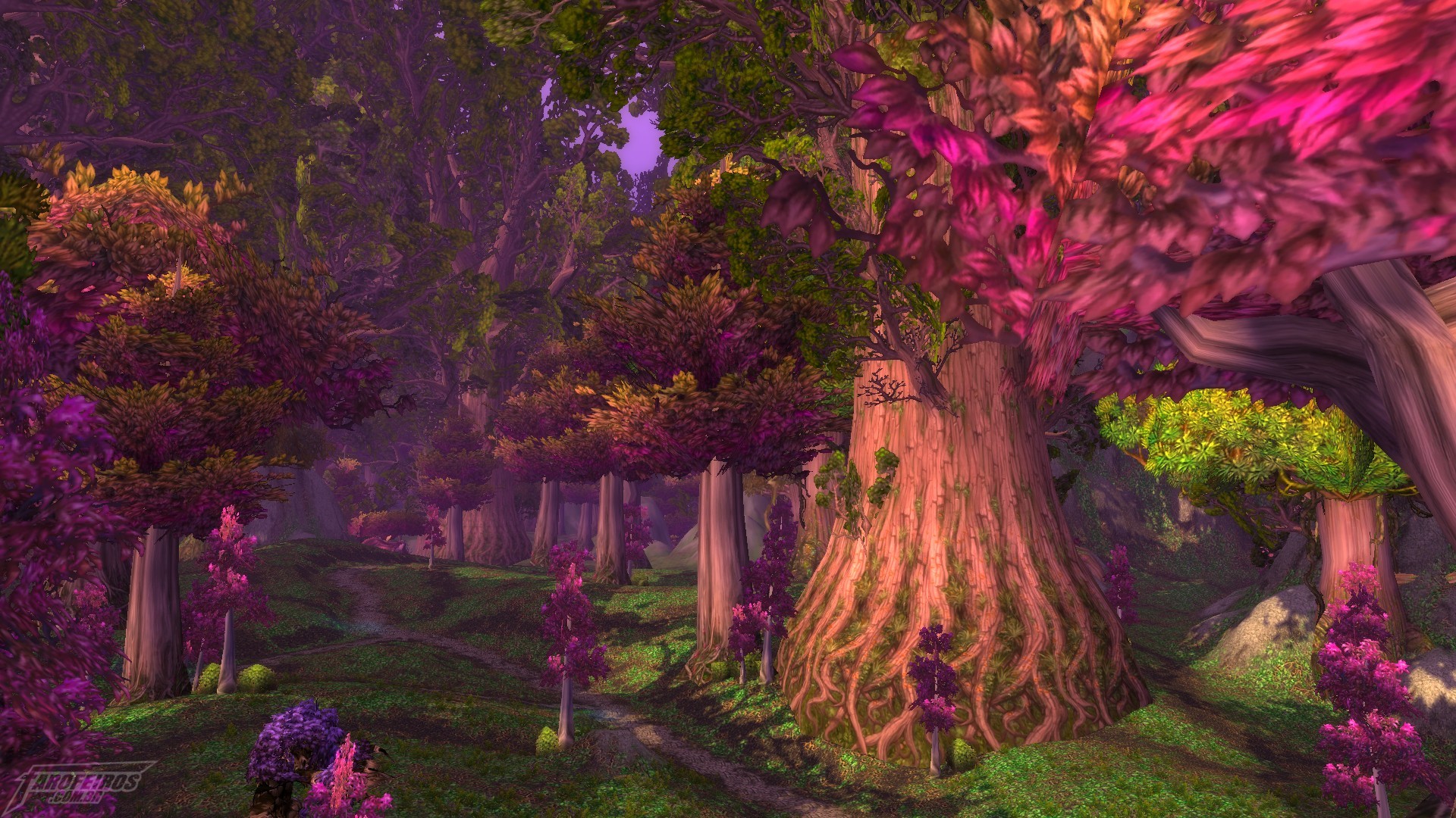 Teldrassil antes de pegar fogo - World of Warcraft