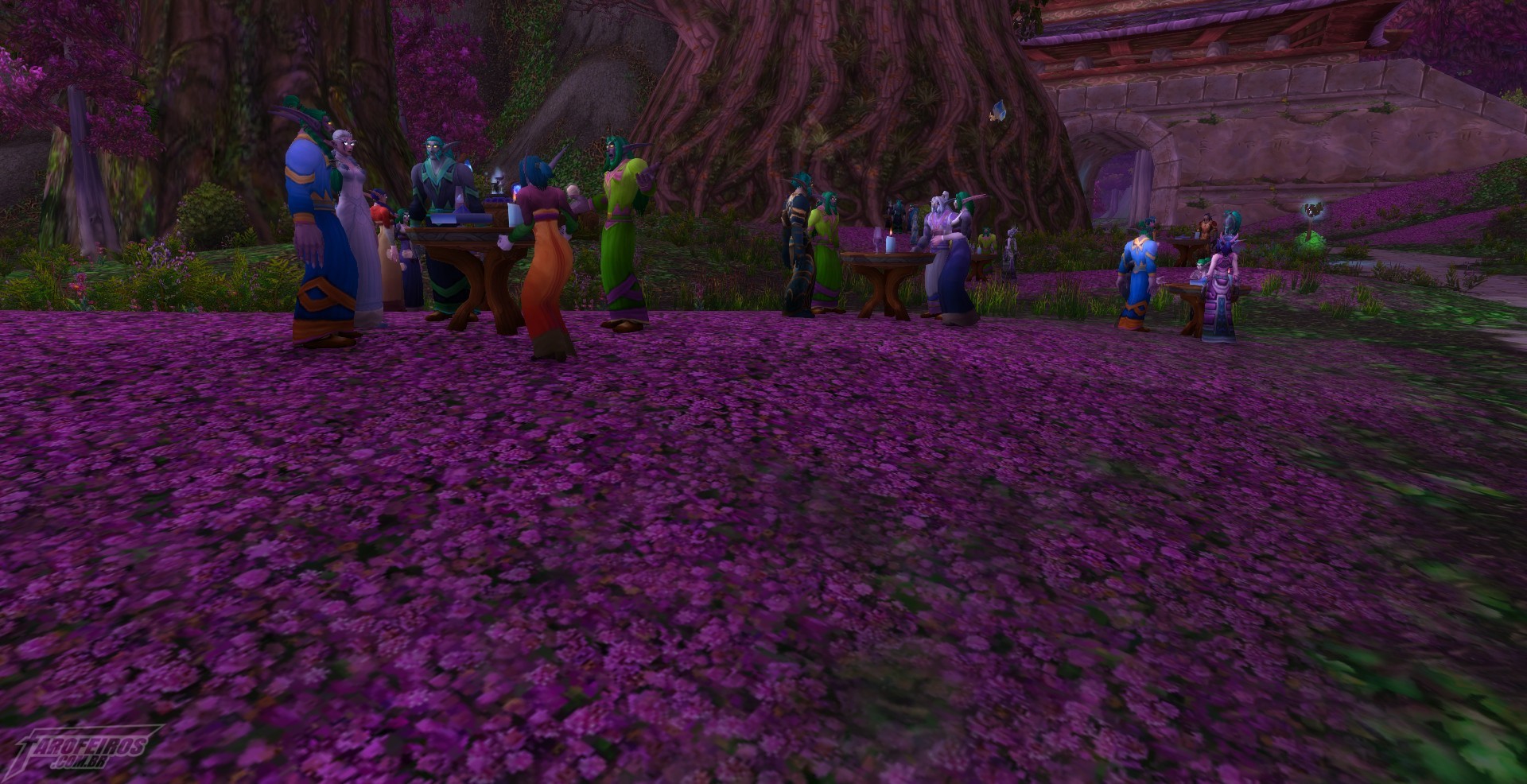 Teldrassil antes de pegar fogo - World of Warcraft