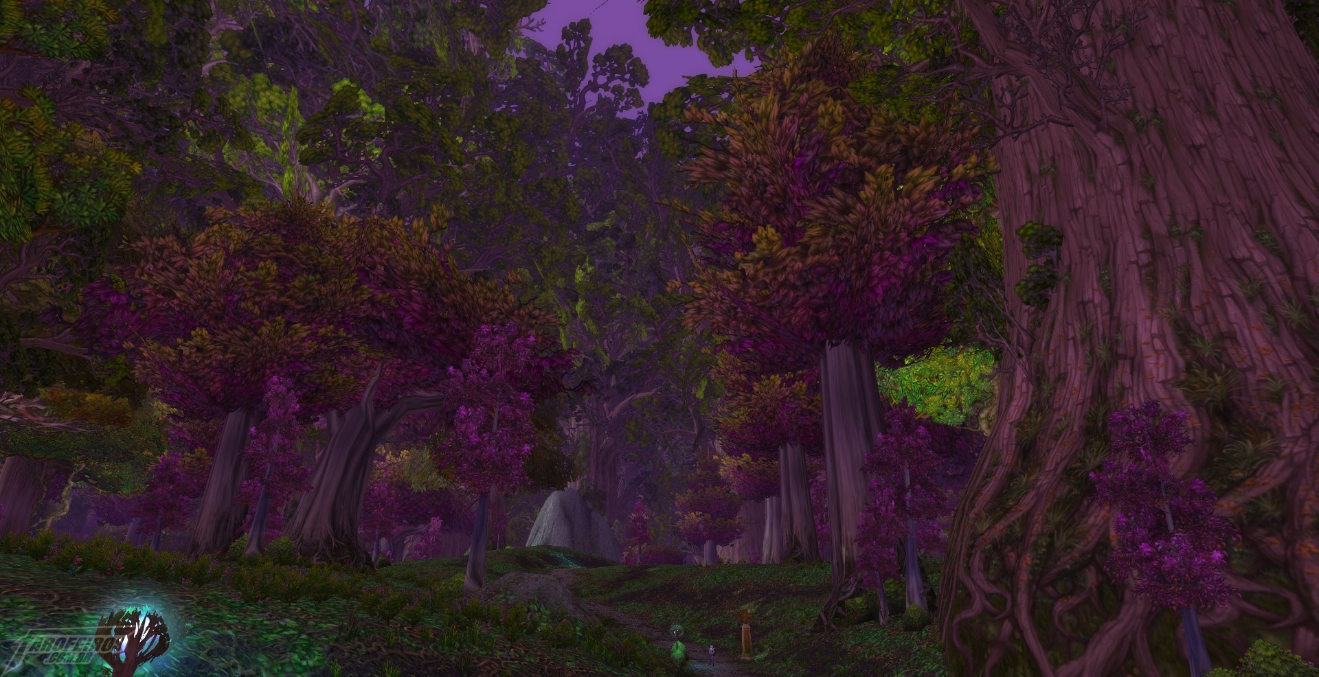 Teldrassil antes de pegar fogo - World of Warcraft