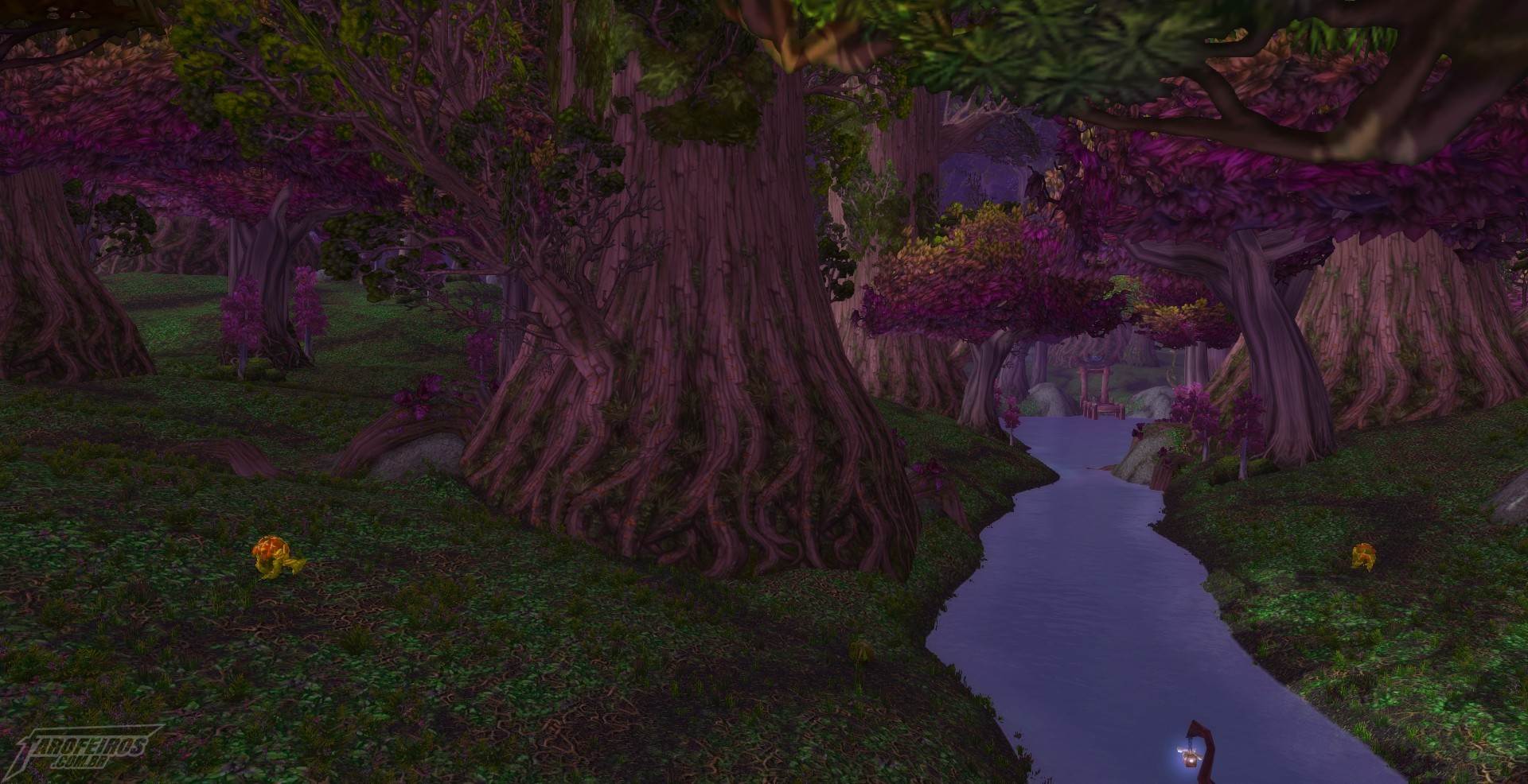 Teldrassil antes de pegar fogo - World of Warcraft