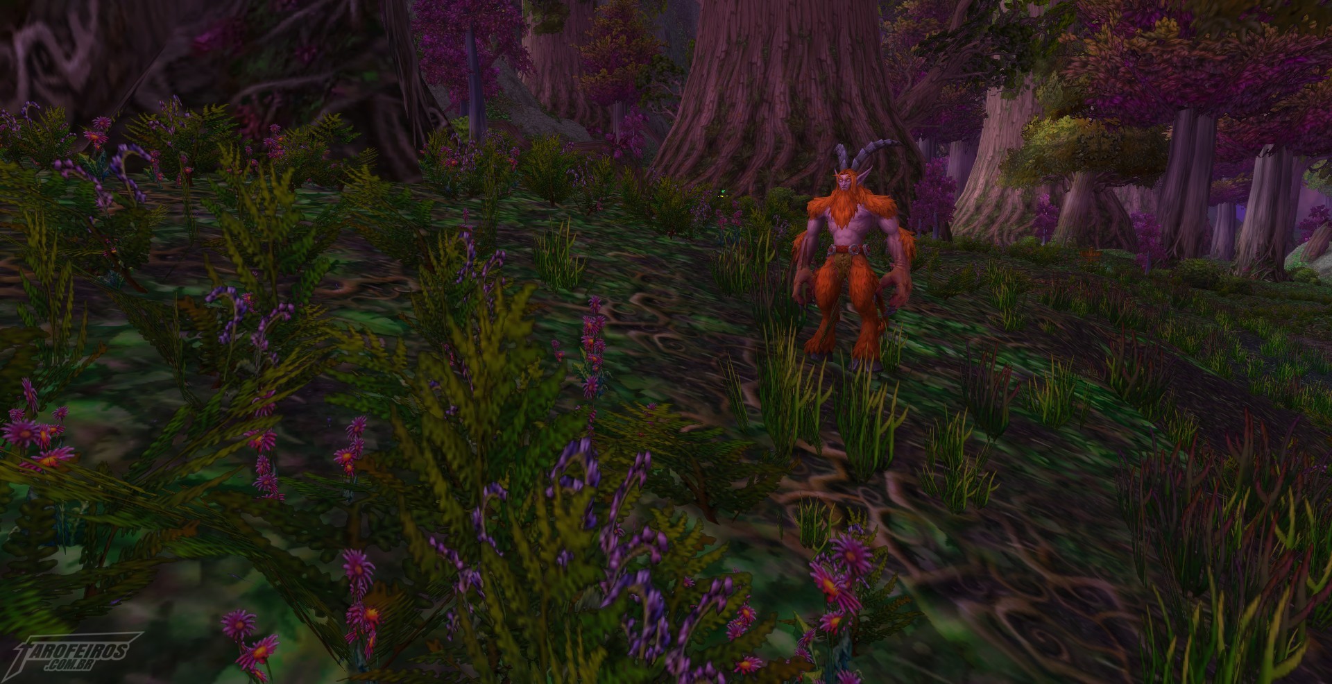 Teldrassil antes de pegar fogo - World of Warcraft