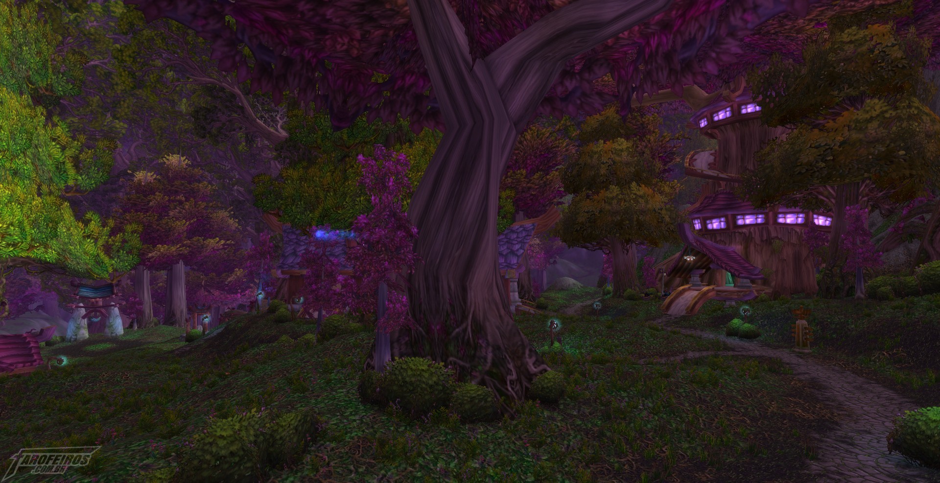 Teldrassil antes de pegar fogo - World of Warcraft