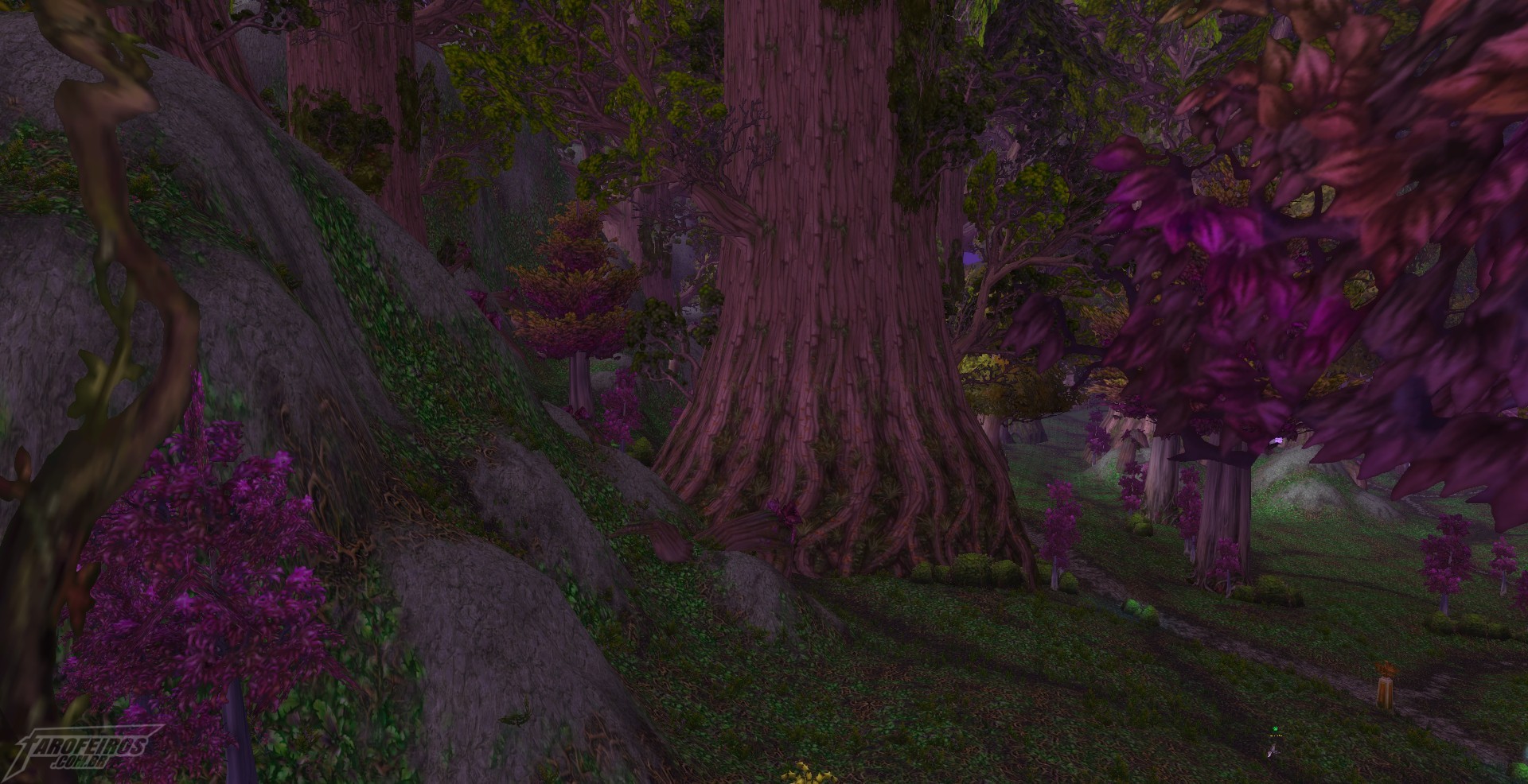 Teldrassil antes de pegar fogo - World of Warcraft