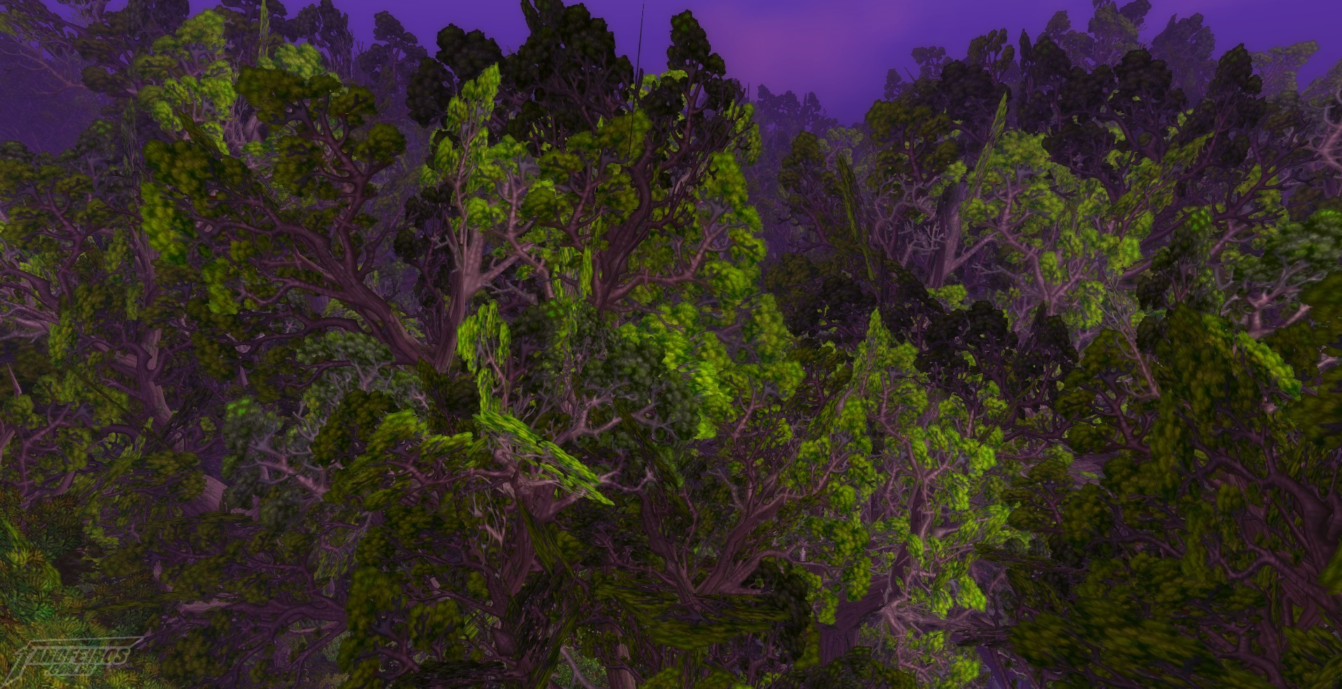 Teldrassil antes de pegar fogo - World of Warcraft