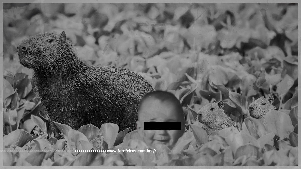 A primeira capivara influencer com seu bebê humanos com seus filhos - Blog Farofeiros - 1