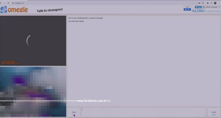 A tela do Omegle - BLOG FAROFEIROS
